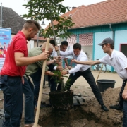 TKW Gebäudereinigung - Jobs in der Gebäudereinigung - Azubi Umweltprojekt - Azubis pflanzen einen Baum
